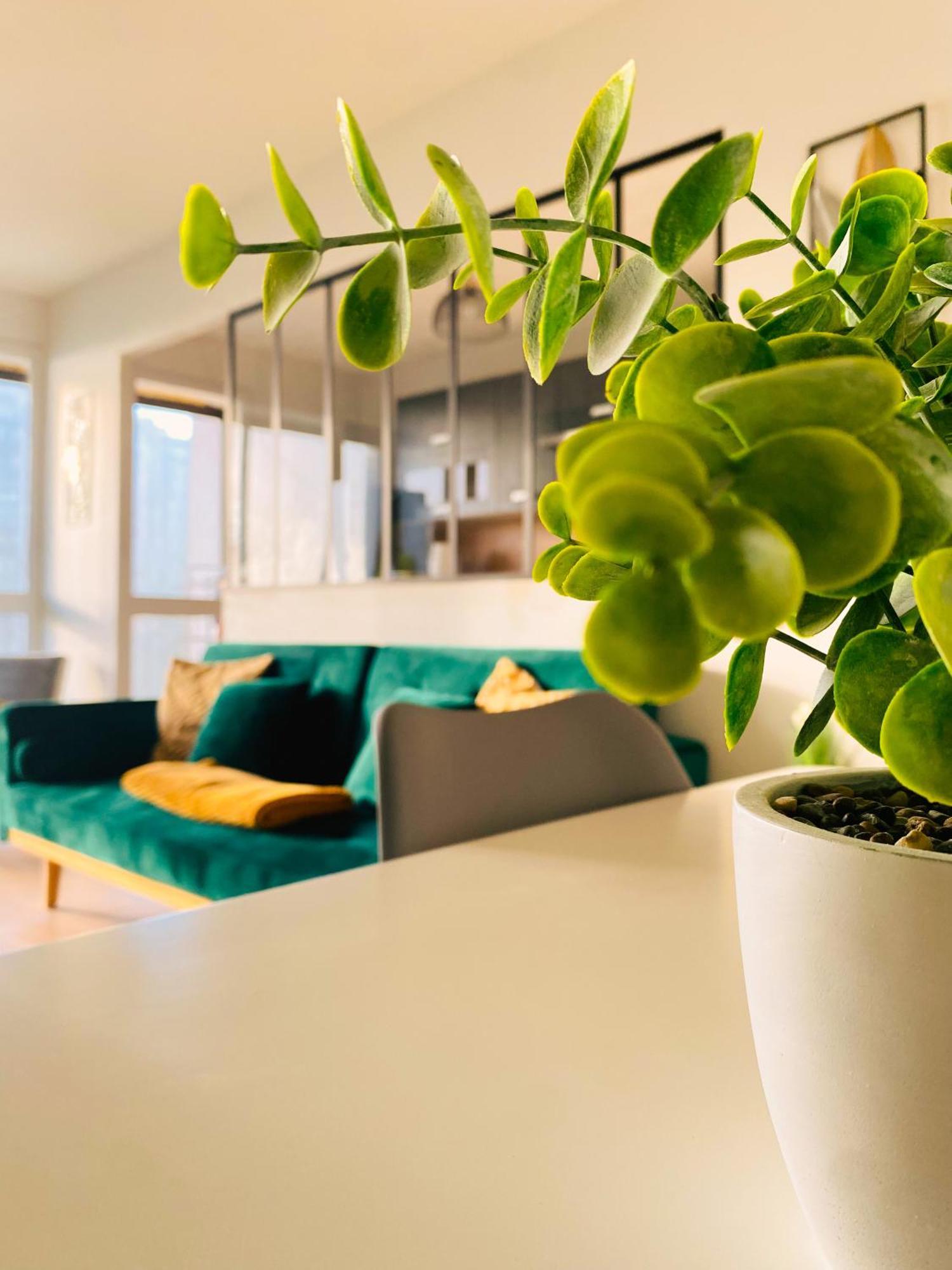 Spacieux Appartement Lumineux Brest Luaran gambar